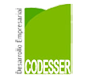 Codesser